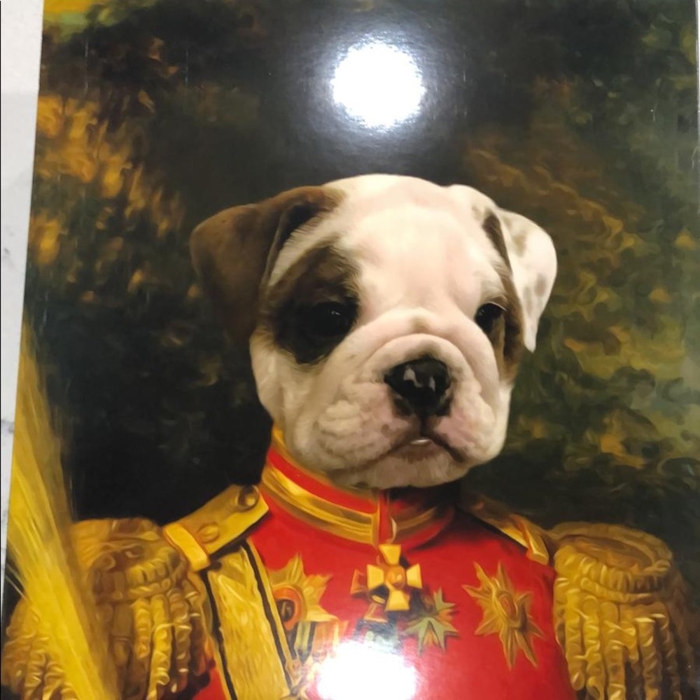 Meet your Posher, Derrick